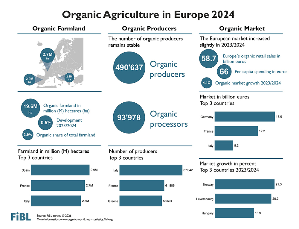 mercado ecológico europeo 2024