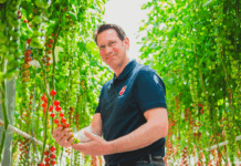 Patents challenge the work of traditional breeders frans-carree