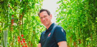 Patents challenge the work of traditional breeders frans-carree