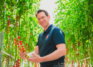 Patents challenge the work of traditional breeders frans-carree