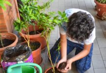 Sobirania alimentària també a casa soberanía