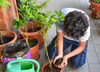 Sobirania alimentària també a casa soberanía