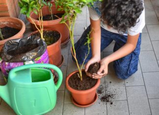 Soberanía alimentaria también en casa soberanía