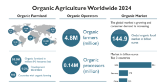 Global organic market hits all-time high in 2024 – Farmland holds steady at 99 million hectares Global Organic Market