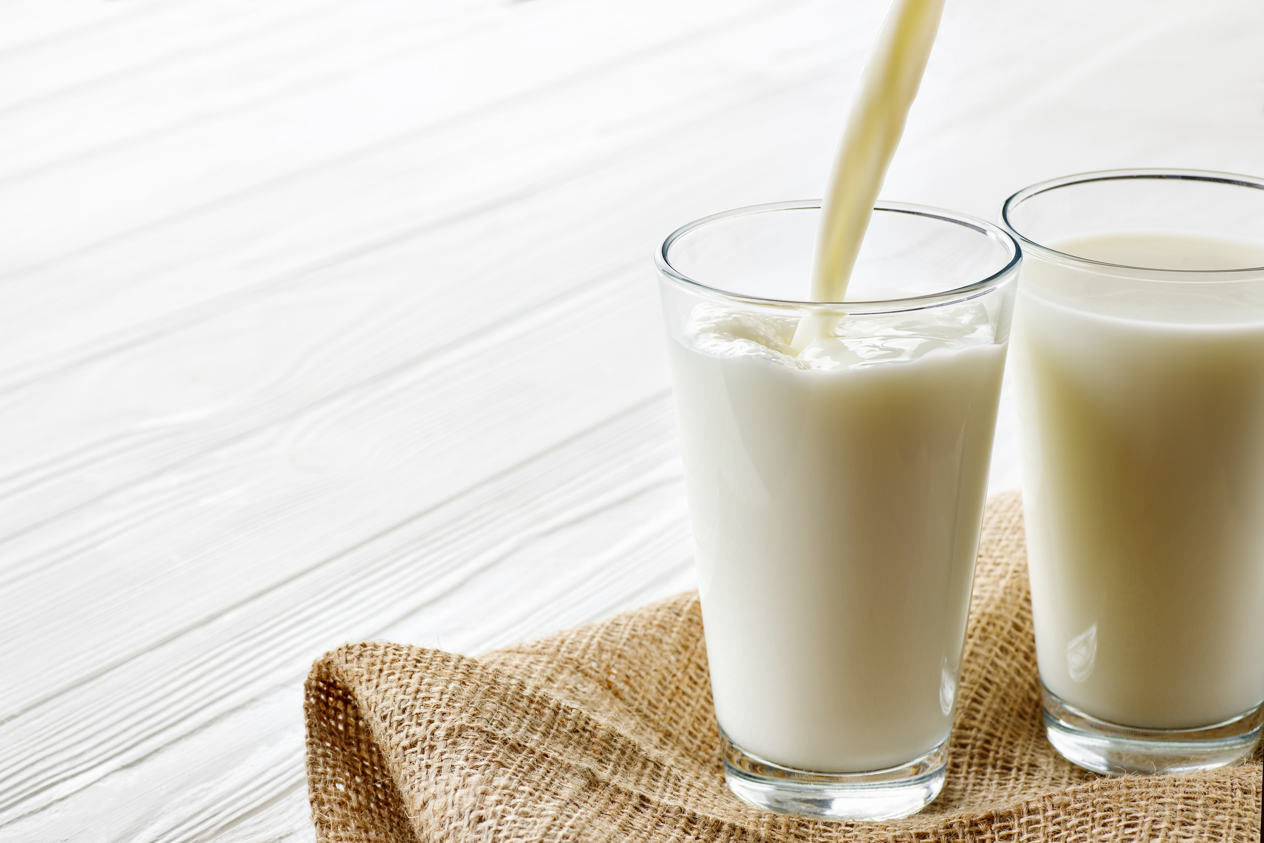 bebidas vegetales
