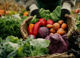 Organic and biodynamic sectors call on EU Ministers to safeguard conservation and local varieties in the final PRM Regulation IFOAM-EUROPE