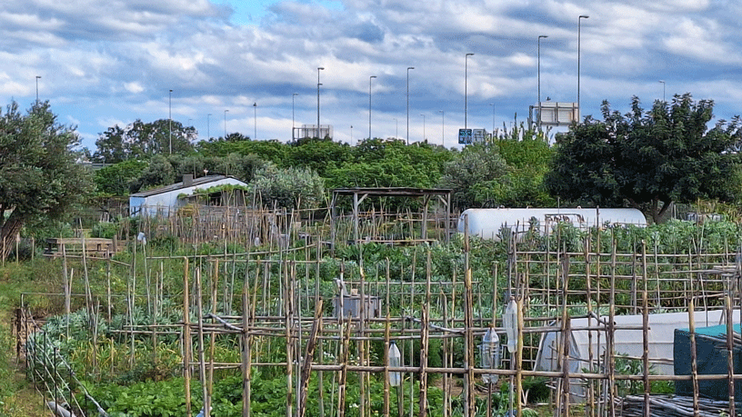 Parque-agrario-del-Llobregat-en-Sant-Joan-Despí