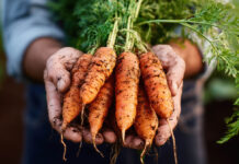 Intereco presentará en Alimentaria Barcelona 2026 su Informe de Datos 2025