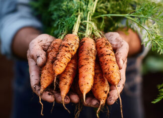 Intereco presentará en Alimentaria Barcelona 2026 su Informe de Datos 2025