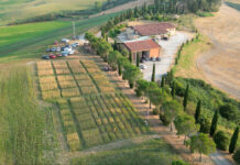 La propera llei europea de llavors i les seves implicacions per a l’agrobiodiversitat ifoam