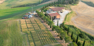 The upcoming EU Seed law and its implication for agrobiodiversity ifoam