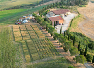 The upcoming EU Seed law and its implication for agrobiodiversity ifoam