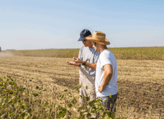 Organics Europe calls for ringfencing of agri-environmental measures and organic support within the CAP young farmers