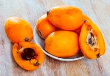 Nísperos, la fruta que no puedes perderte esta primavera nísperos-primavera