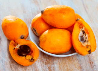 Nespres, la fruita que no et pots perdre aquesta primavera nísperos-primavera