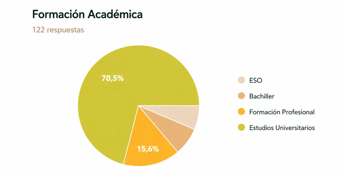 Formación-académica