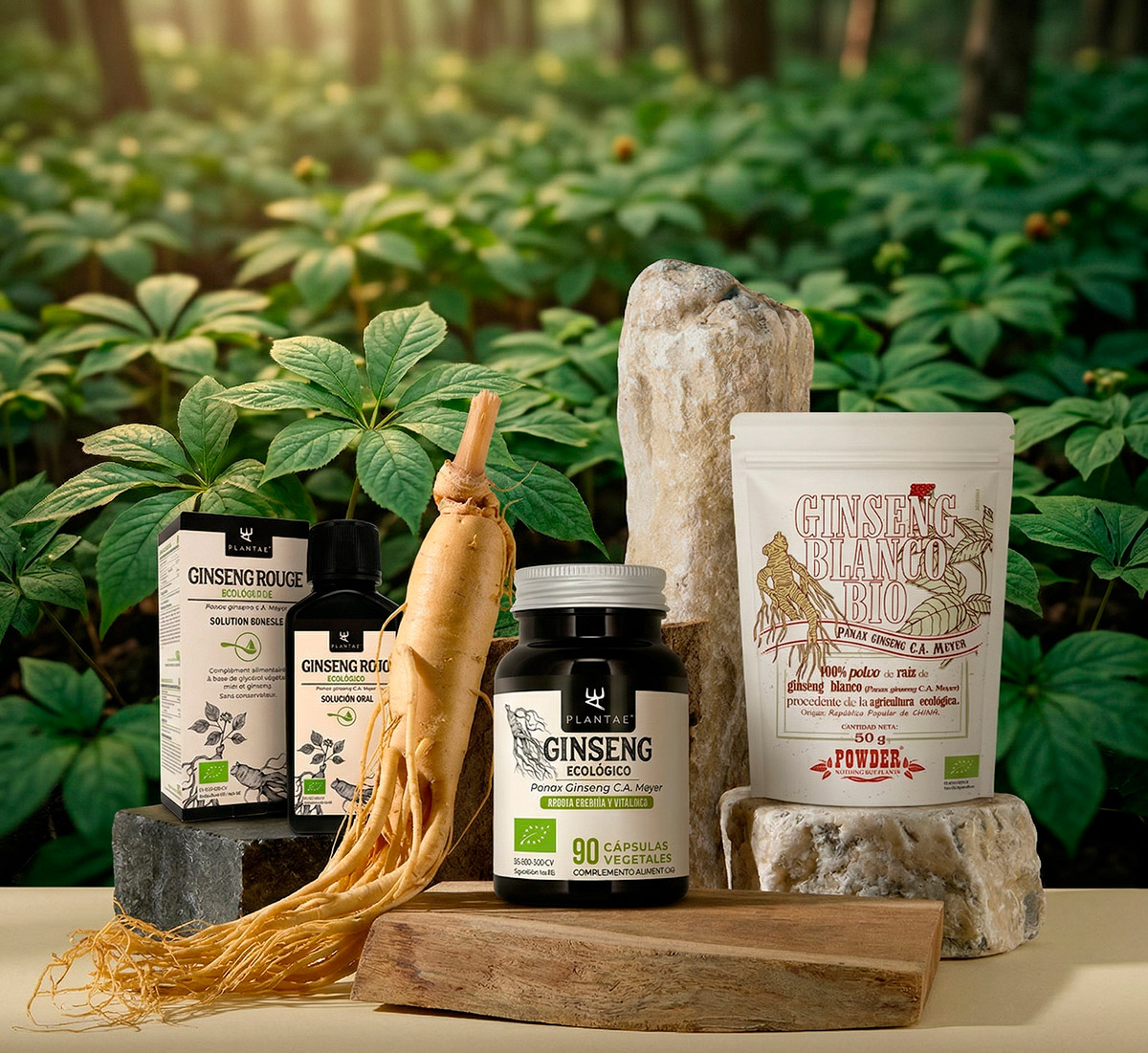 Ginseng