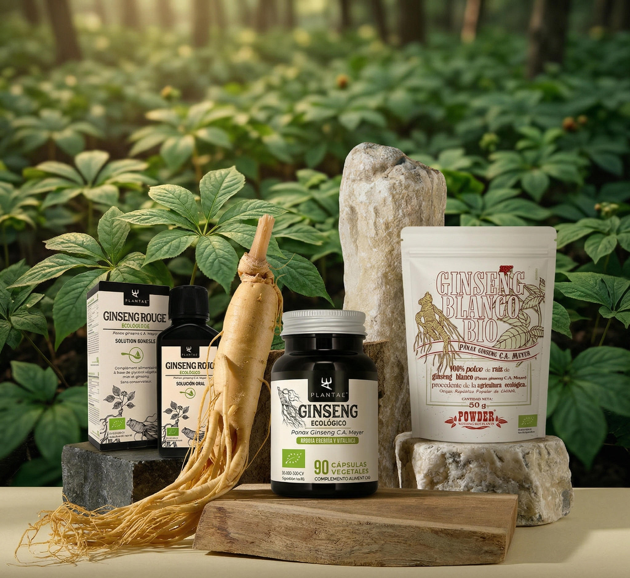 Ginseng