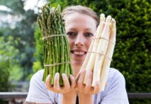 Espárragos de primavera: del silvestre al cultivado espárragos