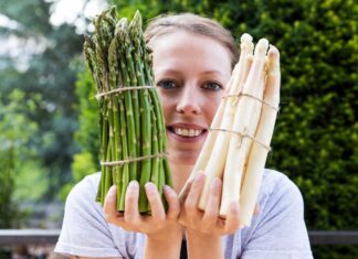 Espàrrecs de primavera: del silvestre al cultivat espárragos