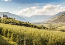 VIP Val Venosta: el paraíso de las manzanas es el futuro del ecológico VIP-prado