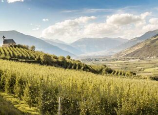 VIP Val Venosta: el paraíso de las manzanas es el futuro del ecológico VIP-prado