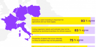80 percent of European citizens say NO to patents on seeds