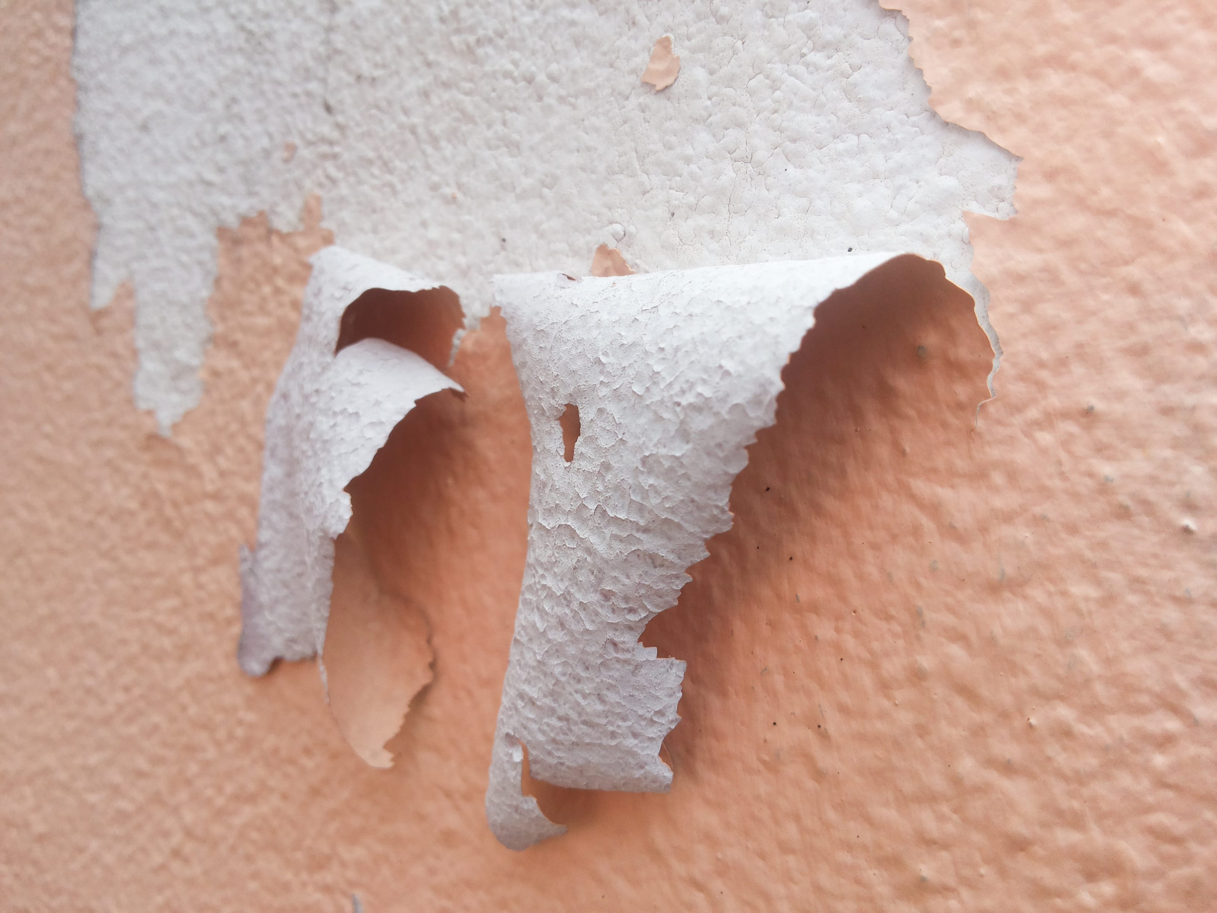 humedad Peeling pink wall paint