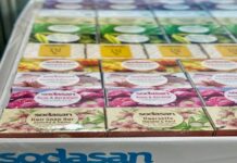 Ecogusto: acercar las marcas líderes de limpieza ecológica en Europa al consumidor español