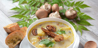 Dieta Nórdica versus Mediterránea sopa de champiñones