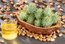 Oli de ricí: un elixir cosmètic dens Seeds and castor oil - Ricinus communis