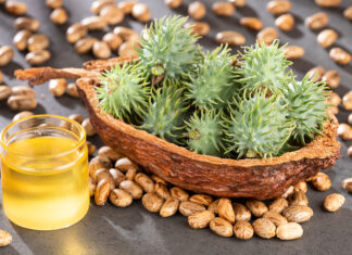 Oli de ricí: un elixir cosmètic dens Seeds and castor oil - Ricinus communis