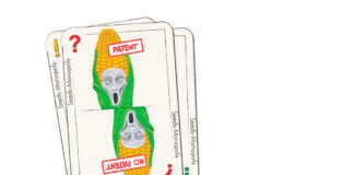 Patents on Seeds: European Patent Office vs. the EU Report-No-patents-on-seeds