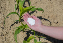 Fertiliser Action Plan: IFOAM Organics Europe welcomes support for organic fertilizantes