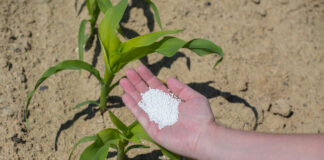 Fertiliser Action Plan: IFOAM Organics Europe welcomes support for organic fertilizantes