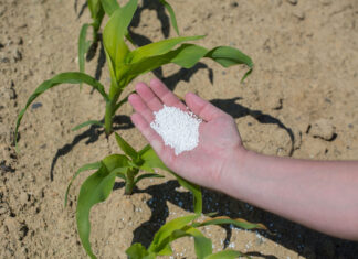 Fertiliser Action Plan: IFOAM Organics Europe welcomes support for organic fertilizantes