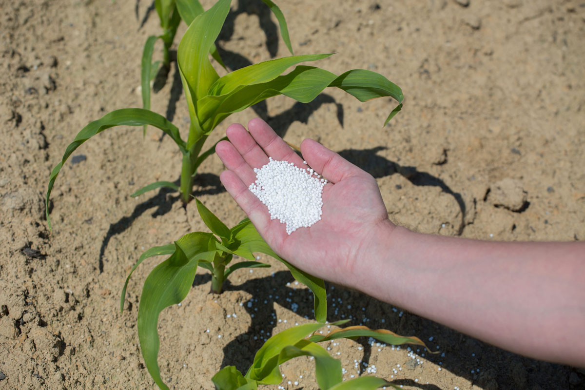 fertilizantes