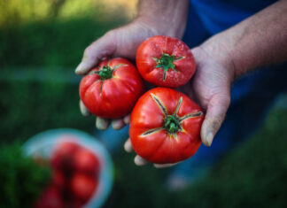 Italy’s organic sector between growth and new balances: 18th Rapporto Bio Bank launched