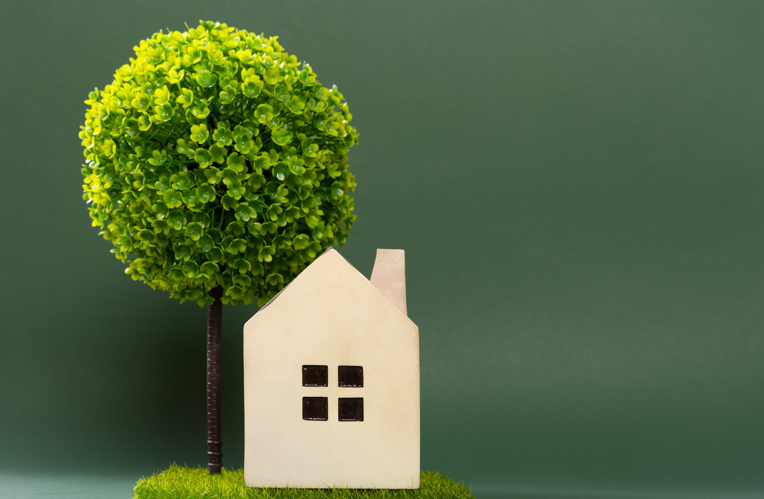 a house model on green grass with a tree on back