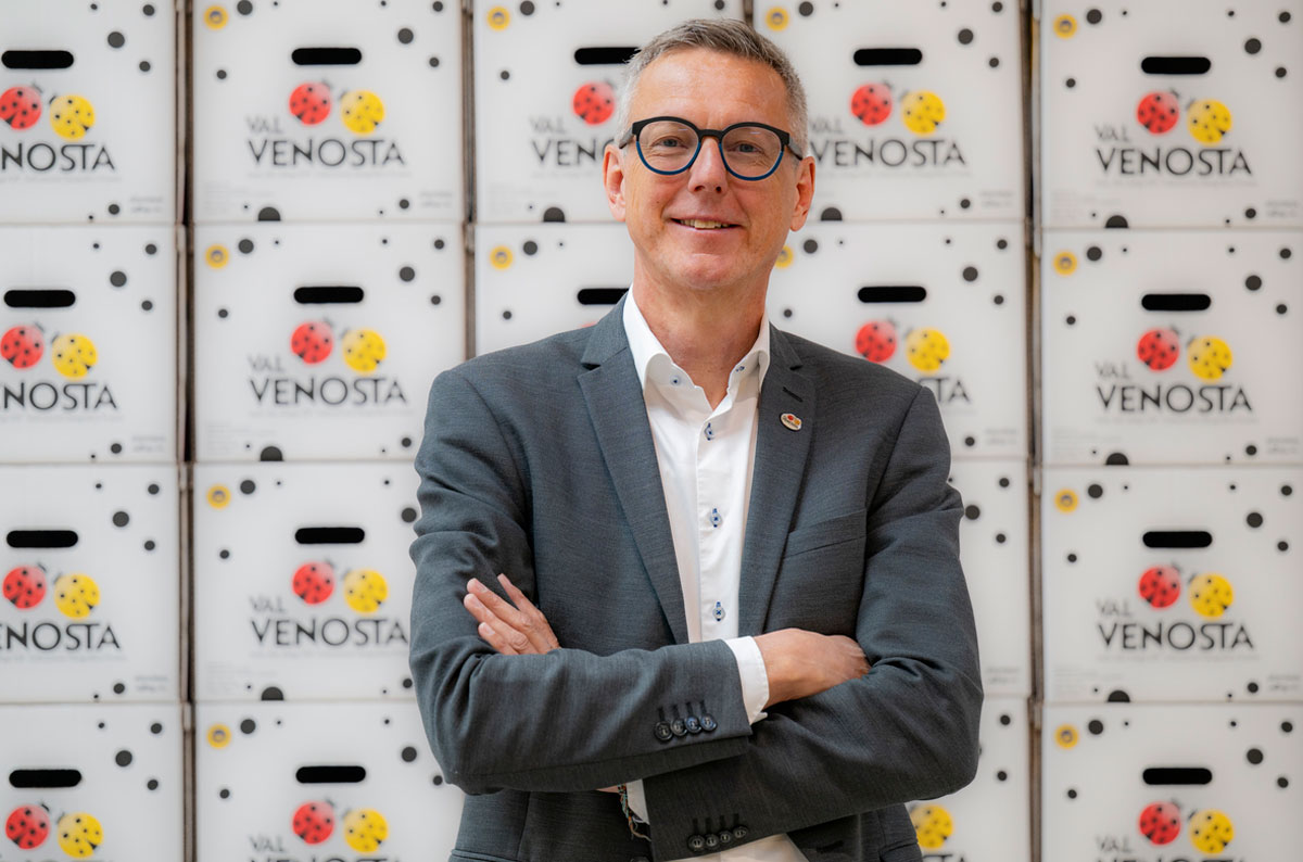 Martin Pinzger, Director de VIP