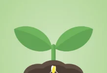 L’amenaça silenciosa de les patents de llavors no petents on seeds
