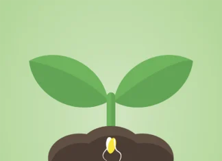 L’amenaça silenciosa de les patents de llavors no petents on seeds