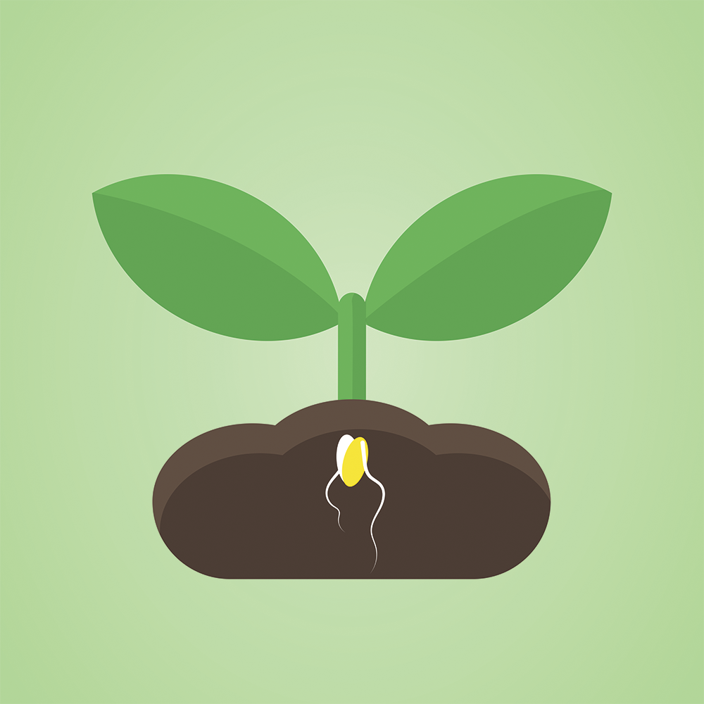 no petents on seeds