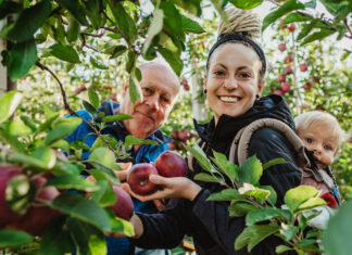 Liderazgo femenino en el cultivo de manzanas de Val Venosta