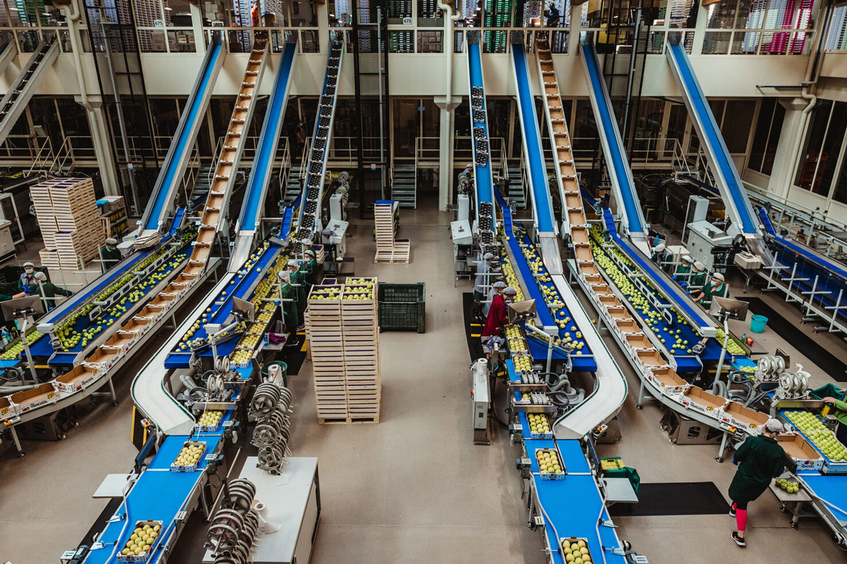 Fábrica de la cooperativa Mivor