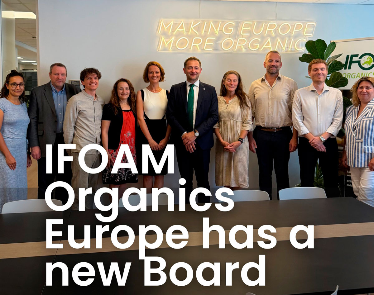 ifoam-new-board