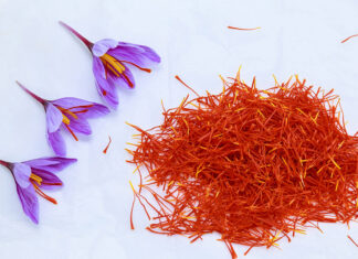 Extracto instantáneo de azafrán: sabor, aroma y color sin tiempo de infusión Azafrán