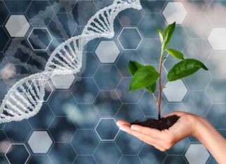ASOBIO: la nueva regulación europea sobre Nuevas Técnicas Genómicas debilita la transparencia y aumenta la presión sobre el sector ecológico NGTs