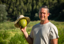 Las verduras de verano: sabor, color y territorio