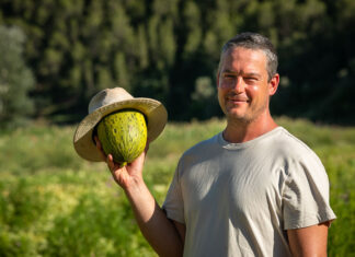 Les verdures d’estiu: sabor, color i territori